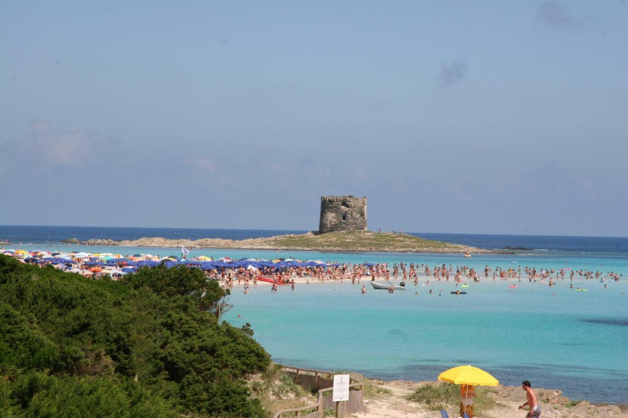 Stintino Country Paradise - Resort & Villas Exterior foto